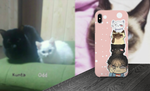 [ PRE - ORDER ] Jae Beom 'Focused on Cats' Phone Case